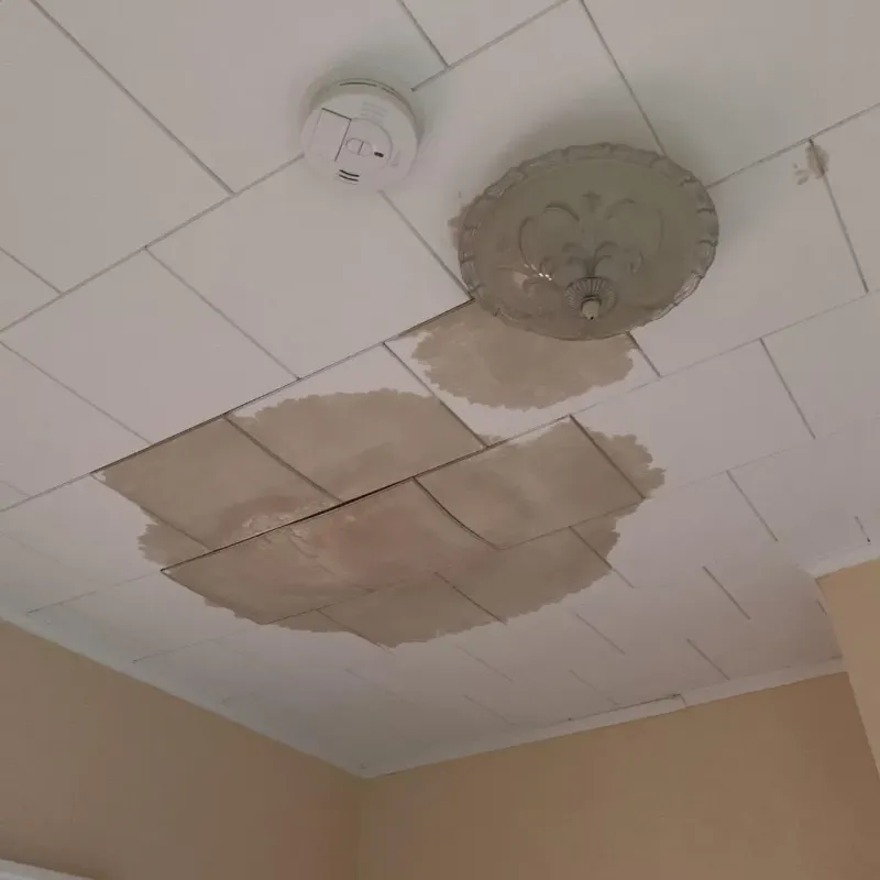 Ceiling Water Damage Repair in Harker Heights, TX