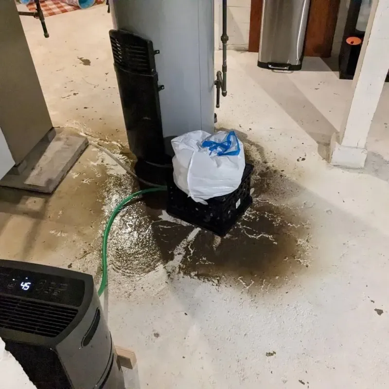 Sewage Backup Cleanup Service in Harker Heights, TX